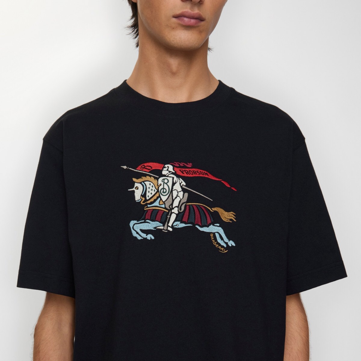 P229 Multicolour Horse Embroidery T-Shirt - Black