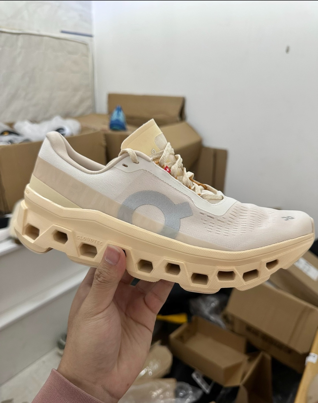 On Cloudmonster 1